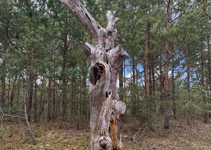 Hotel Bozen W Juracie